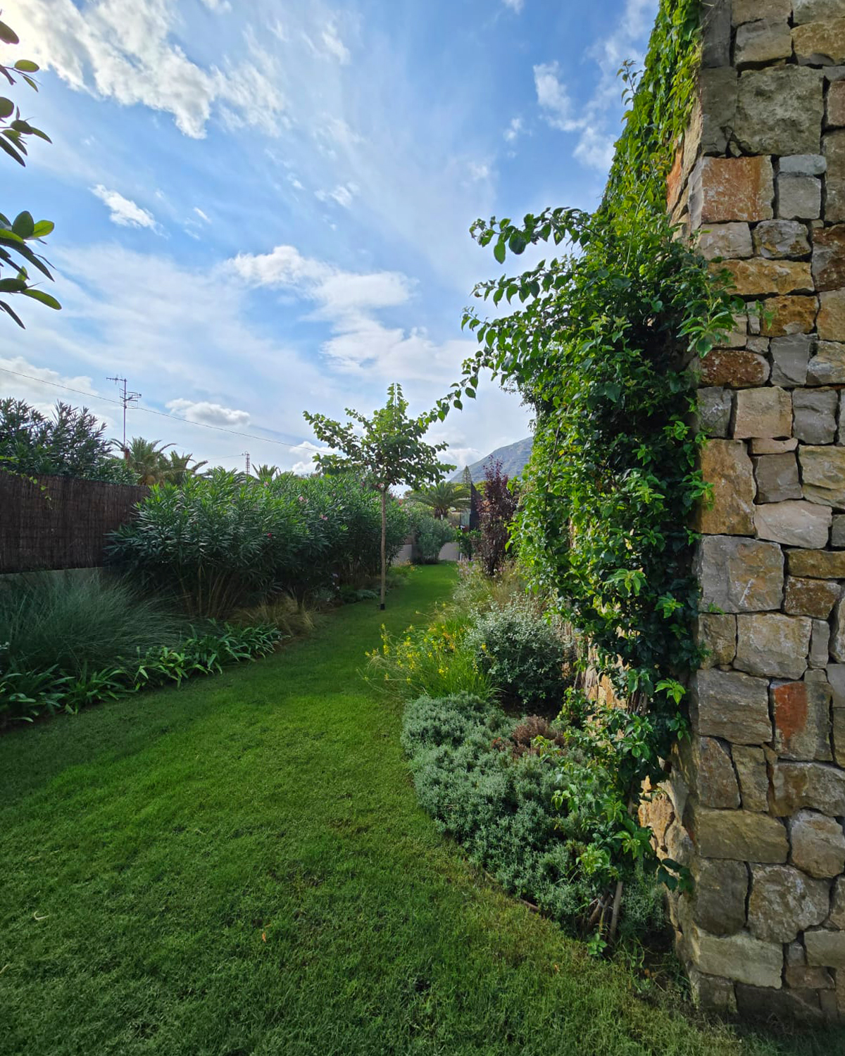 baobao-paisajismo-rotas6