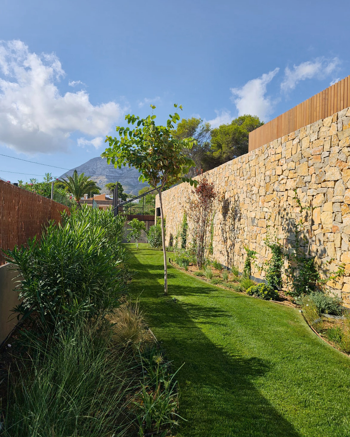 baobao-paisajismo-rotas7