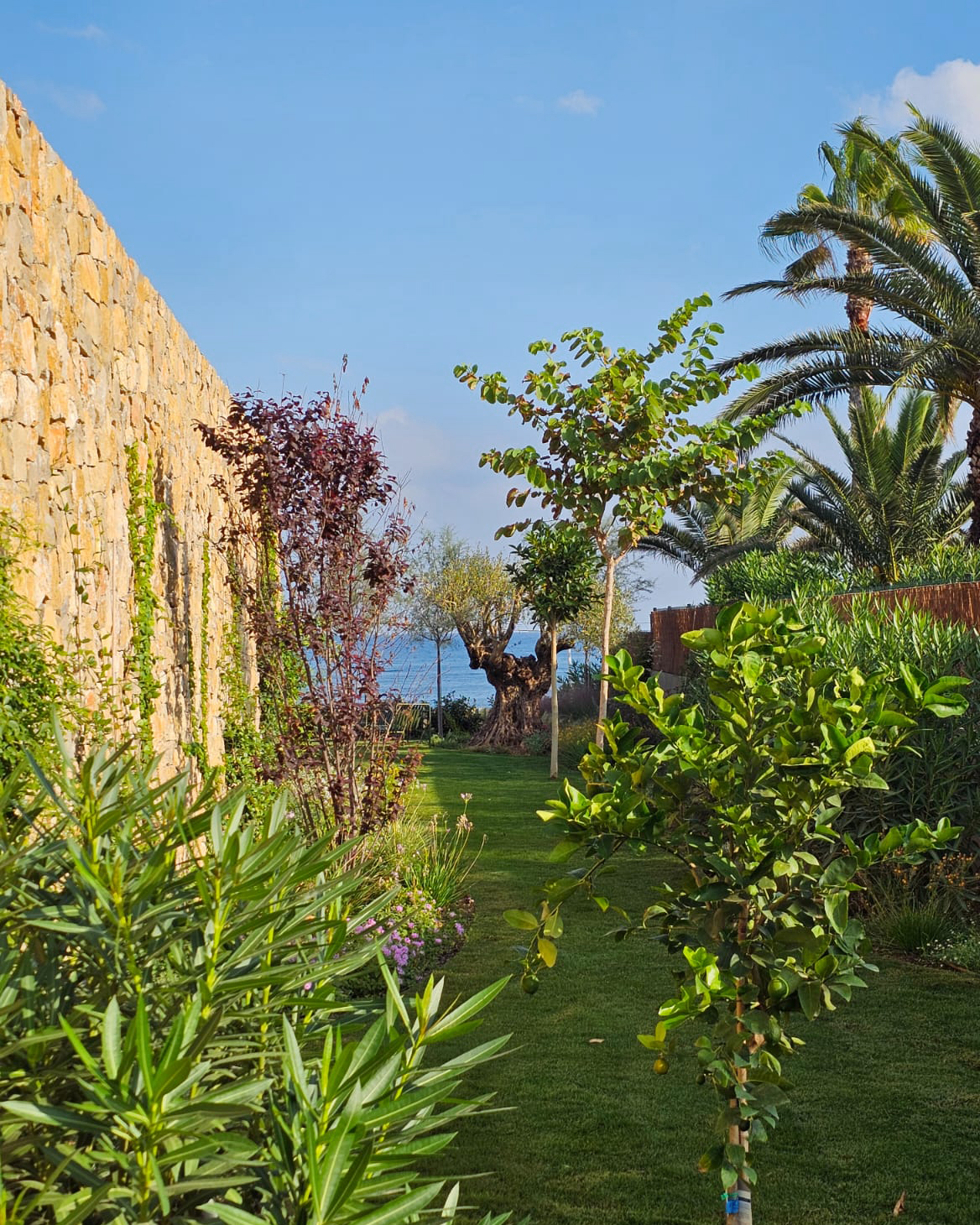 baobao-paisajismo-rotas8