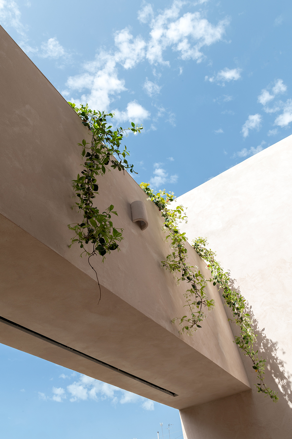 Diseño terraza urbana cabanyal baobao valencia 12
