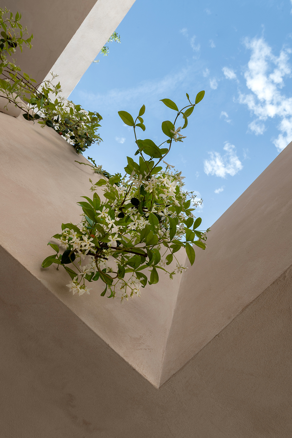 Diseño terraza urbana cabanyal baobao valencia 14