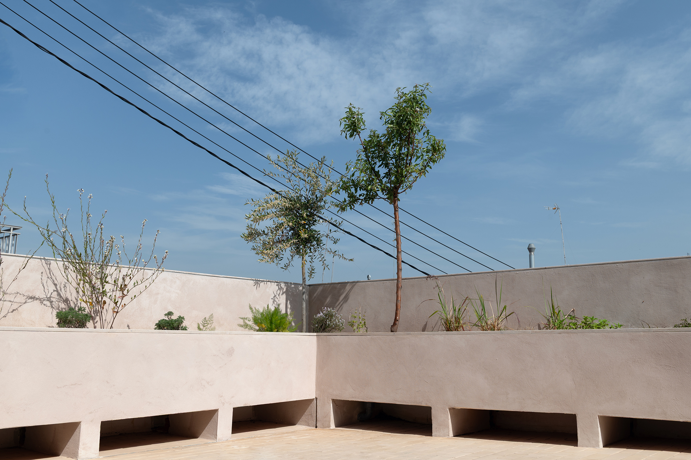 Diseño terraza urbana cabanyal baobao valencia 17