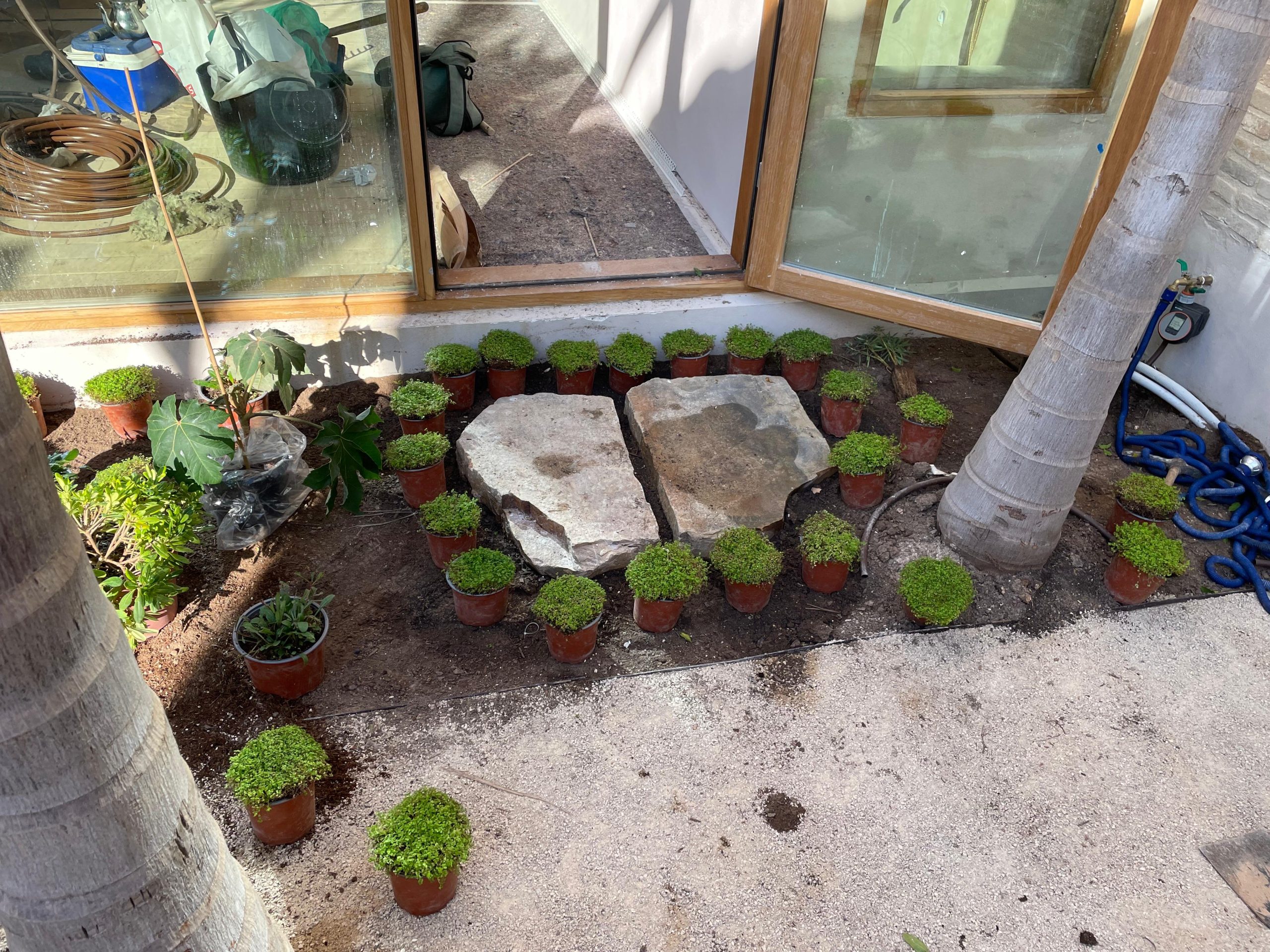 Proceso terraza urbana cabanyal baobao valencia 12