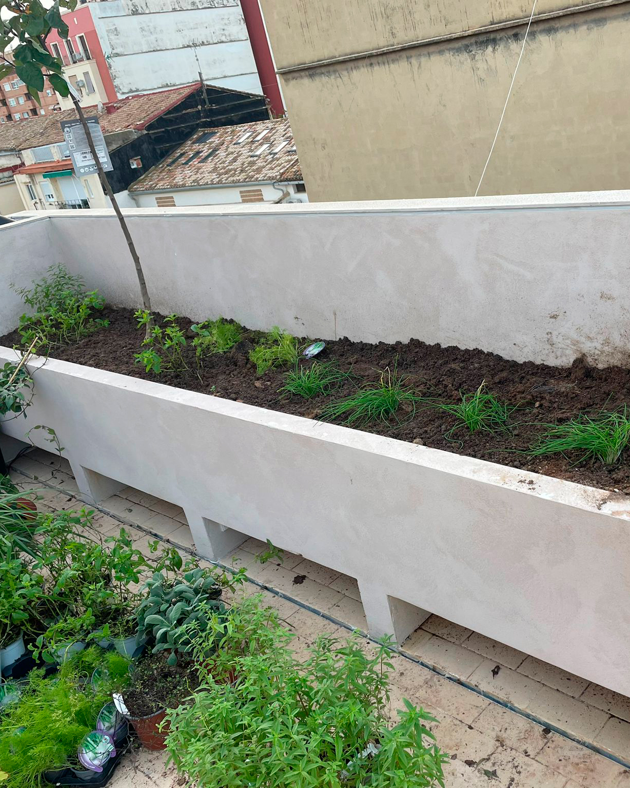 Proceso terraza urbana cabanyal baobao valencia 2