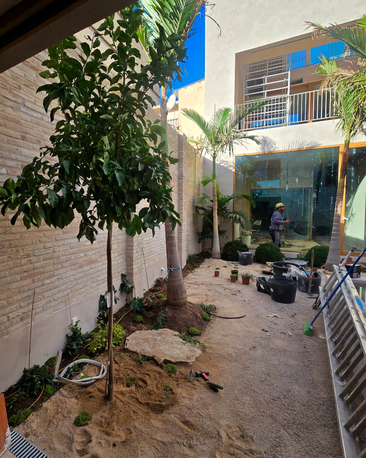 Proceso terraza urbana cabanyal baobao valencia 3