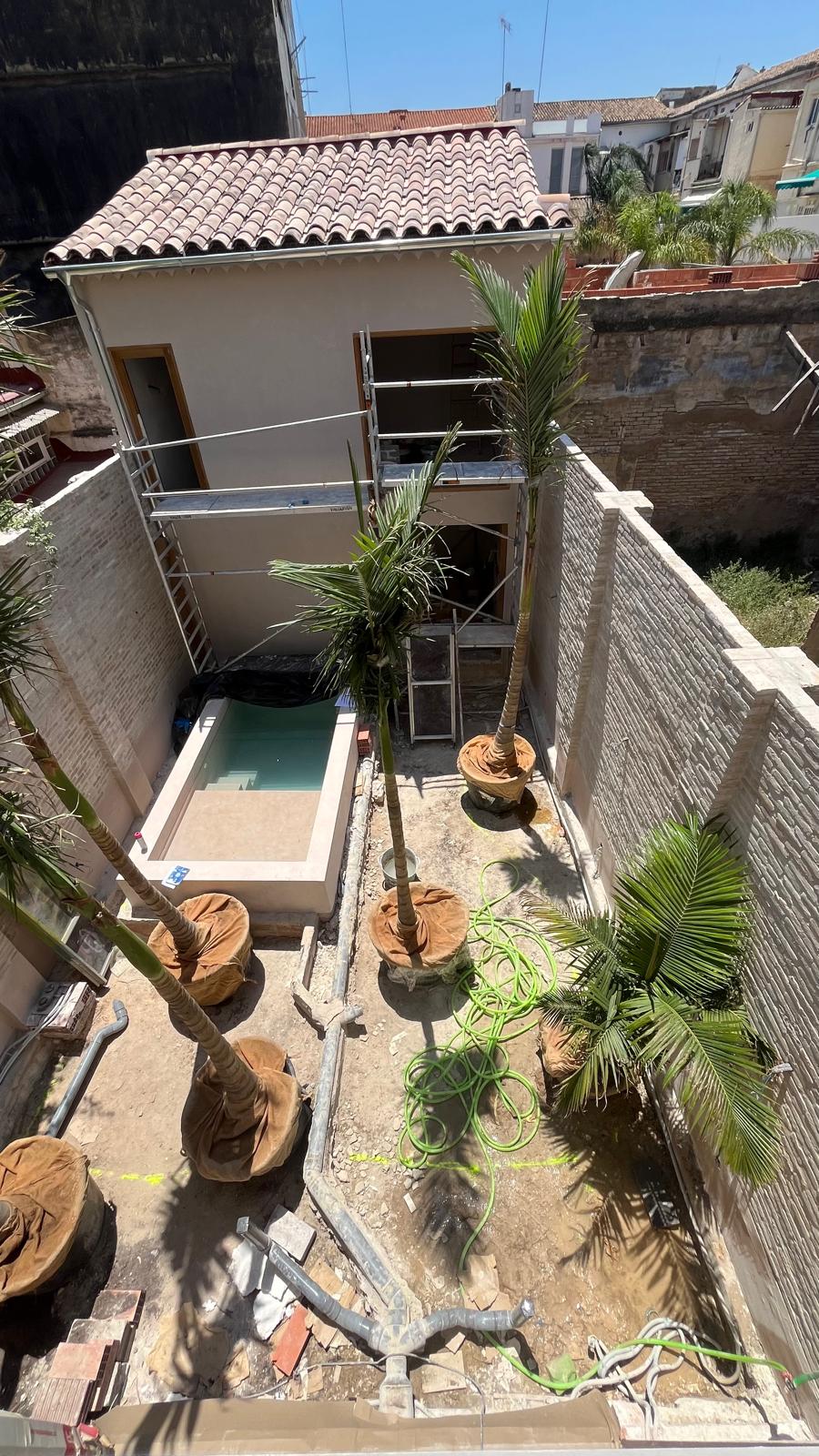 Proceso terraza urbana cabanyal baobao valencia 8