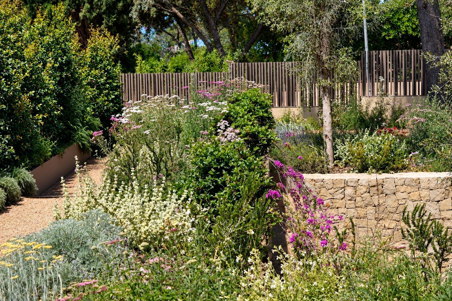 Jardin-ElBosque-Valencia-Baobao-13