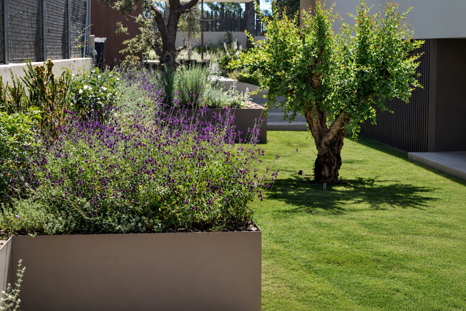Jardin-ElBosque-Valencia-Baobao-14