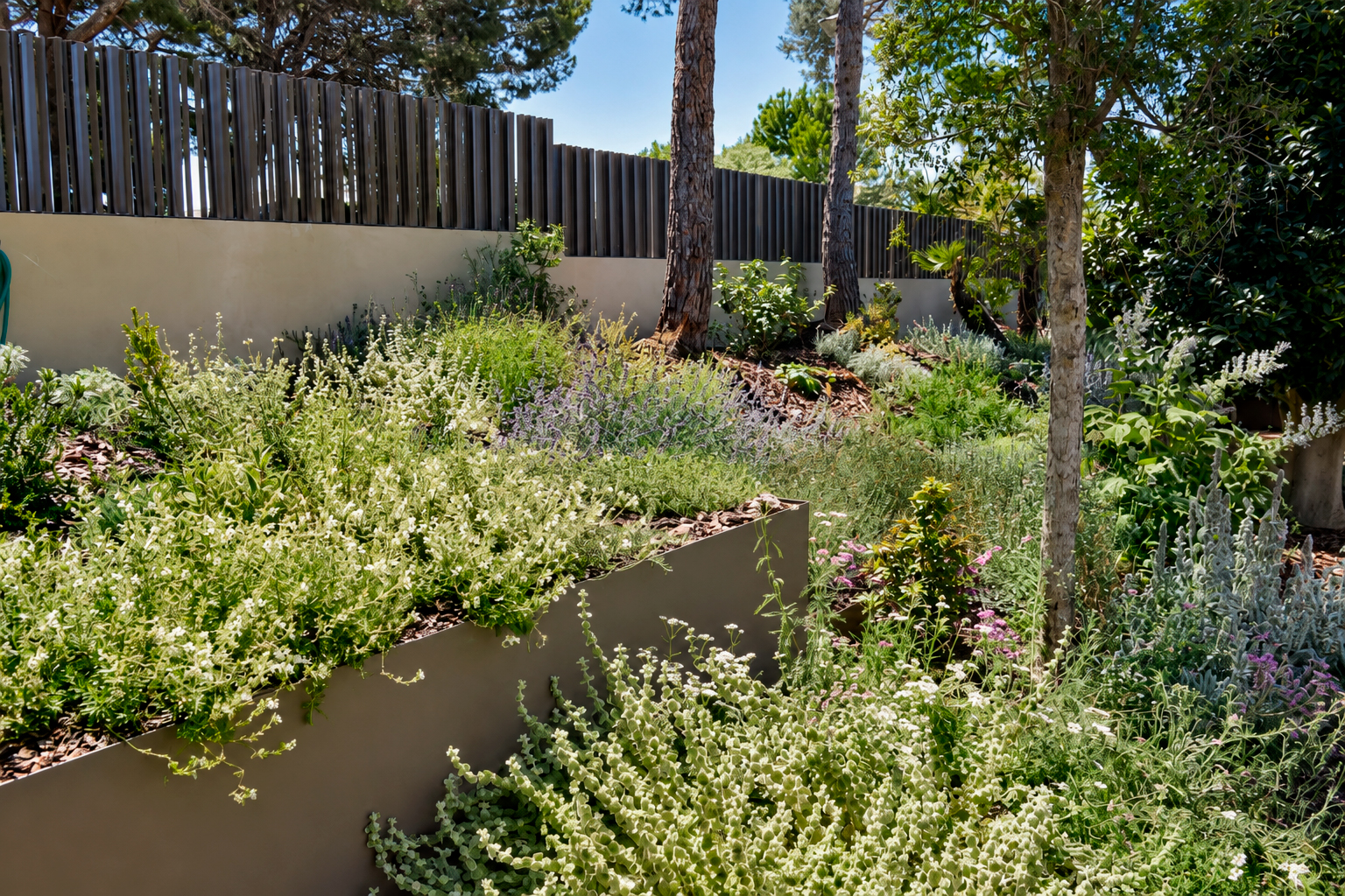 Jardin-ElBosque-Valencia-Baobao-15