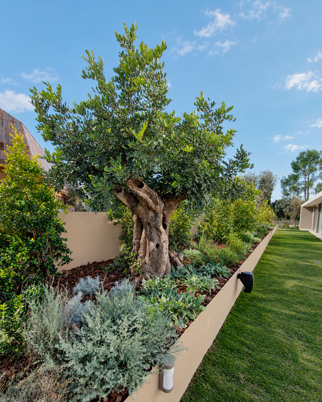 Jardin-ElBosque-Valencia-Baobao-21