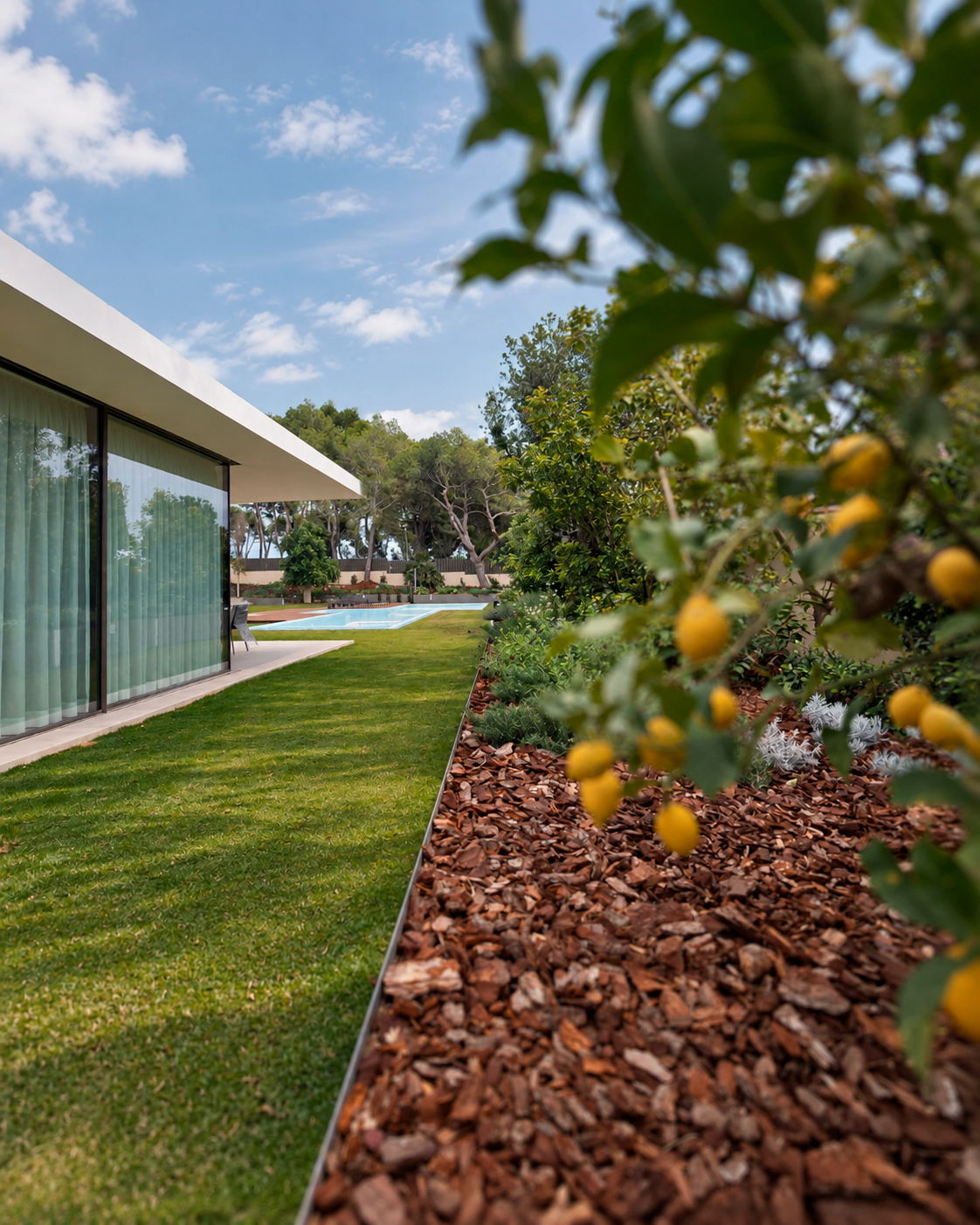 Jardin-ElBosque-Valencia-Baobao-22