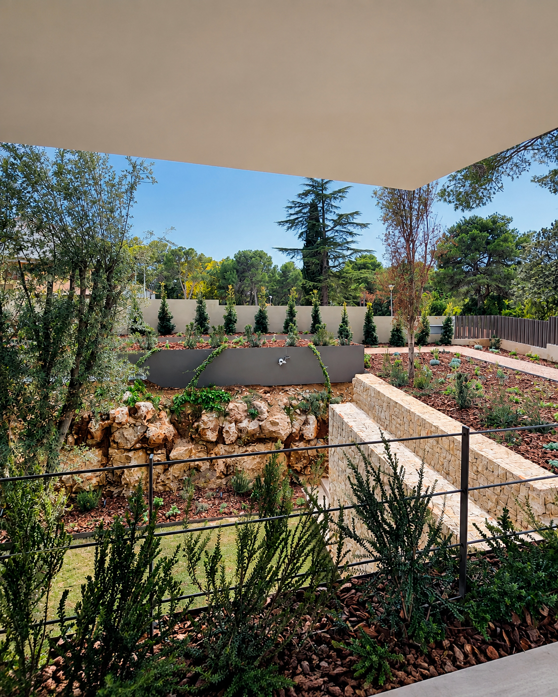 Jardin-ElBosque-Valencia-Baobao-31
