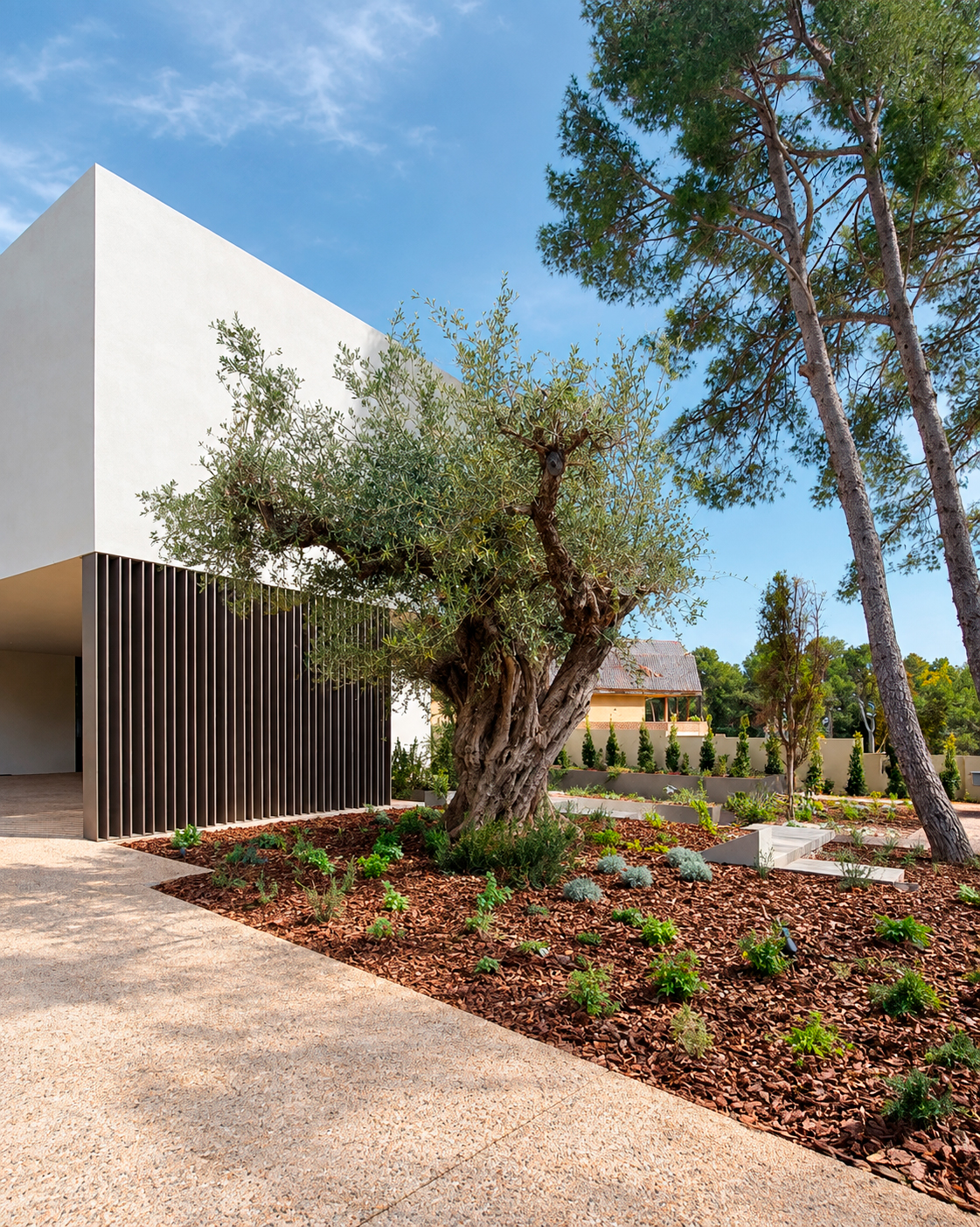 Jardin-ElBosque-Valencia-Baobao-5