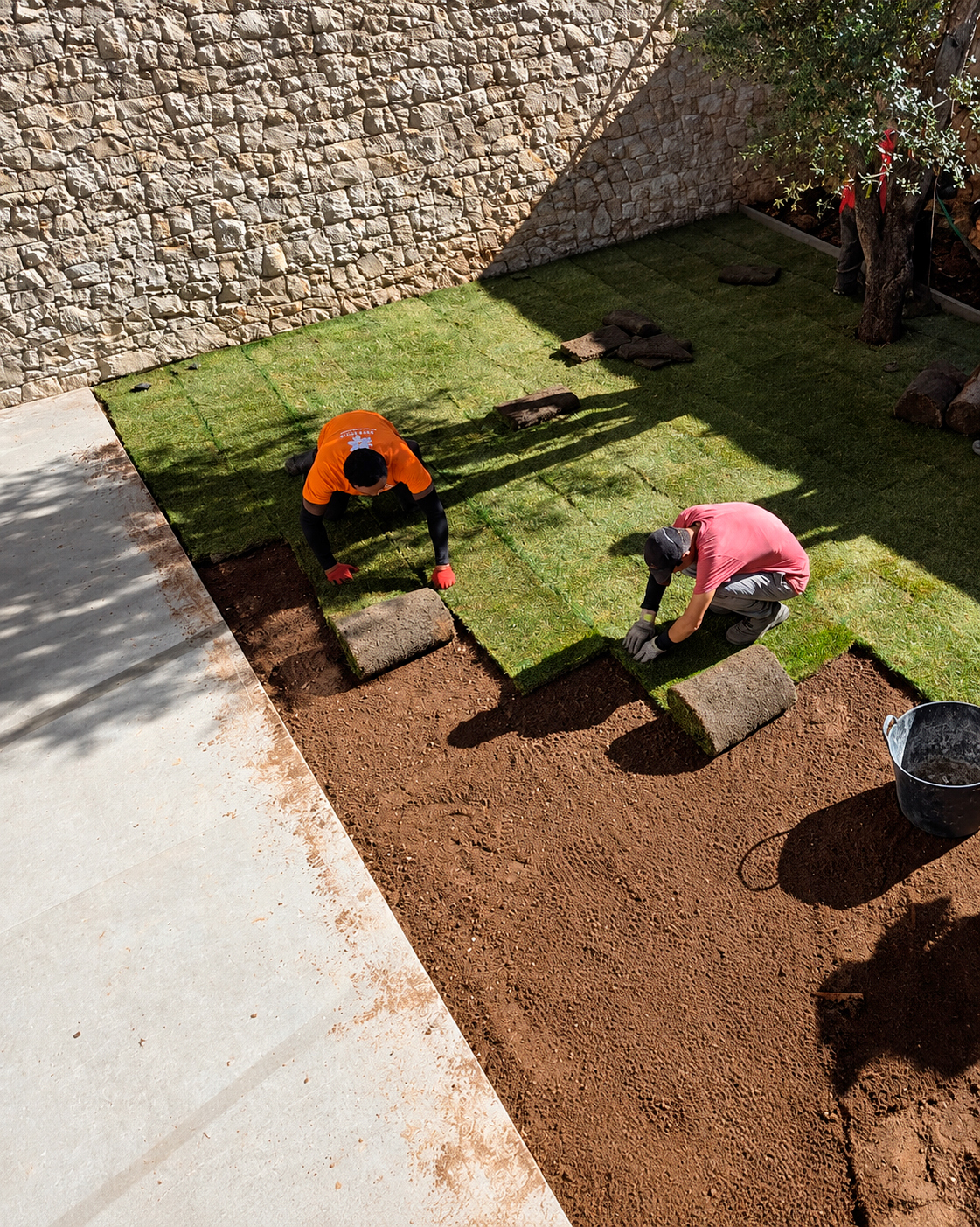 Jardin-ElBosque-Valencia-Baobao-Proceso11