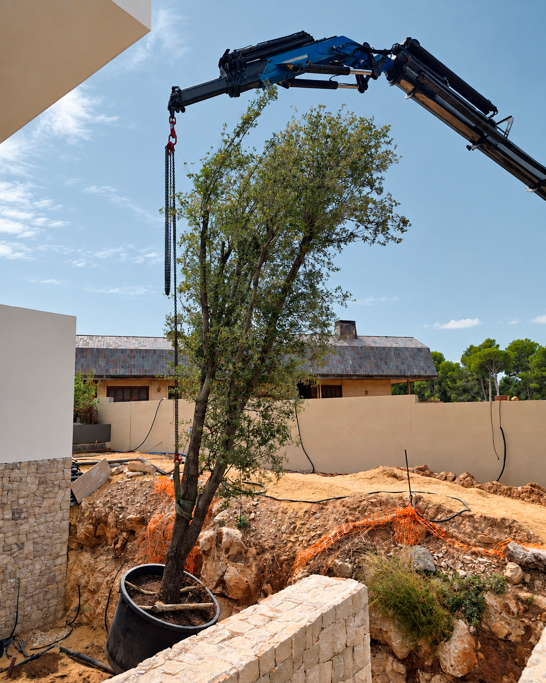 Jardin-ElBosque-Valencia-Baobao-Proceso14