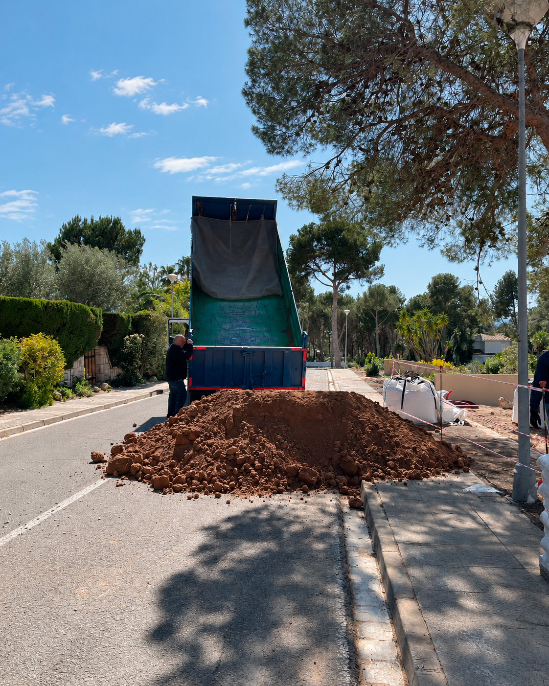 Jardin-ElBosque-Valencia-Baobao-Proceso6