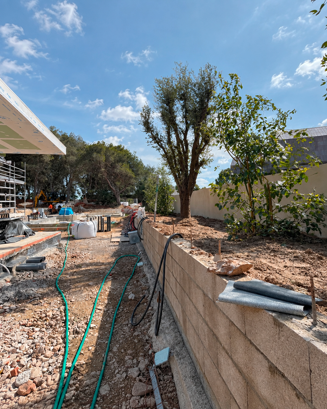 Jardin-ElBosque-Valencia-Baobao-Proceso9
